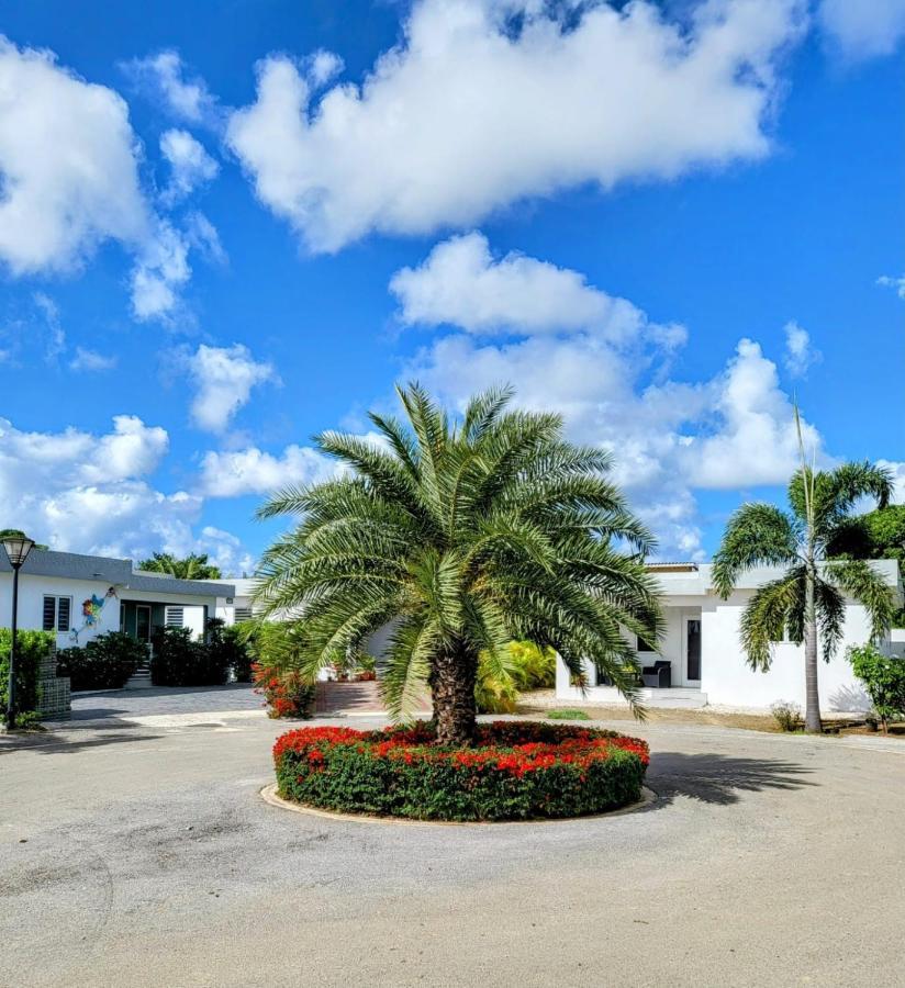 Winstonvalley Resort Willemstad Eksteriør billede